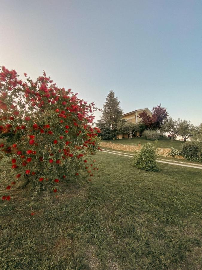 Bed and Breakfast Bed & Breakfast Le Coccinelle Rosciano  Екстер'єр фото